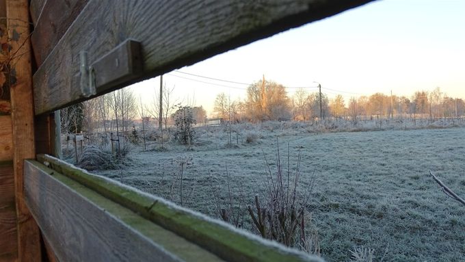 een koude morgenstond... (foto CdC)